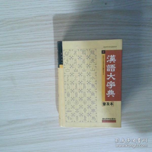 汉语大字典:普及本