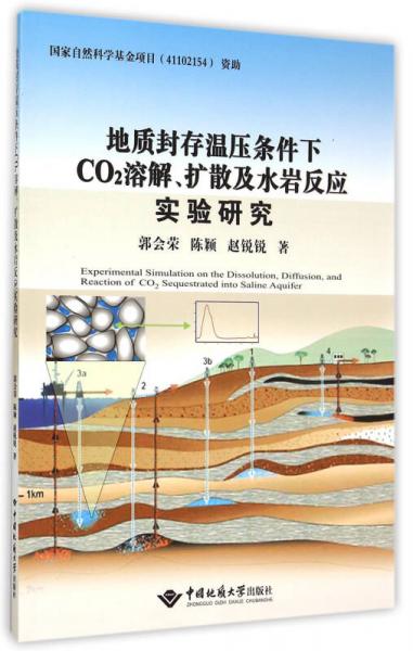 地质封存温压条件下CO2溶解、扩散及水岩反应实验研究