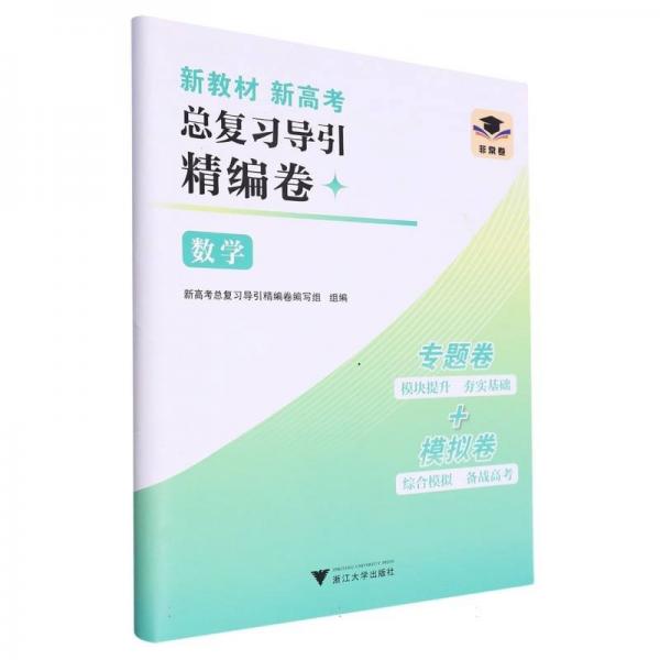 數(shù)學/新教材新高考總復習導引精編卷