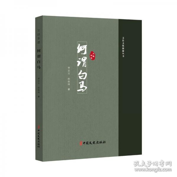 文縣非遺/文縣文化旅游叢書(shū)