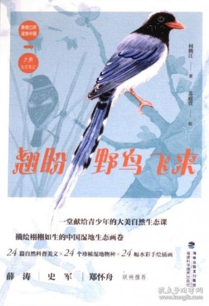 翹盼野鳥飛來靜觀自然濕地中國大美生態(tài)筆記
