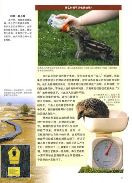 什么是什么：探索大自然