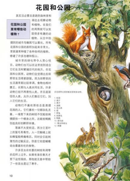 什么是什么：探索大自然