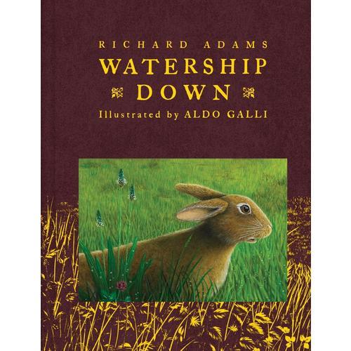 Watership Down(Scribner Illustrated Classics) 兔子共和国（名家插图版，精装）