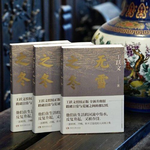 无雪之冬（献给普通人的故事集，属于时代的人生之问）
