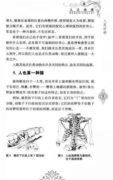 少儿科普名人名著书系：人之由来