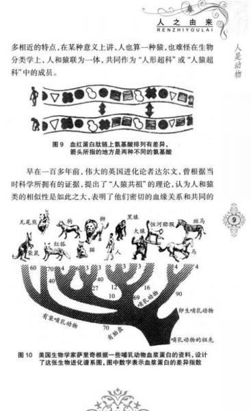 少儿科普名人名著书系：人之由来