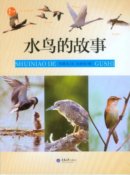 水鳥的故事