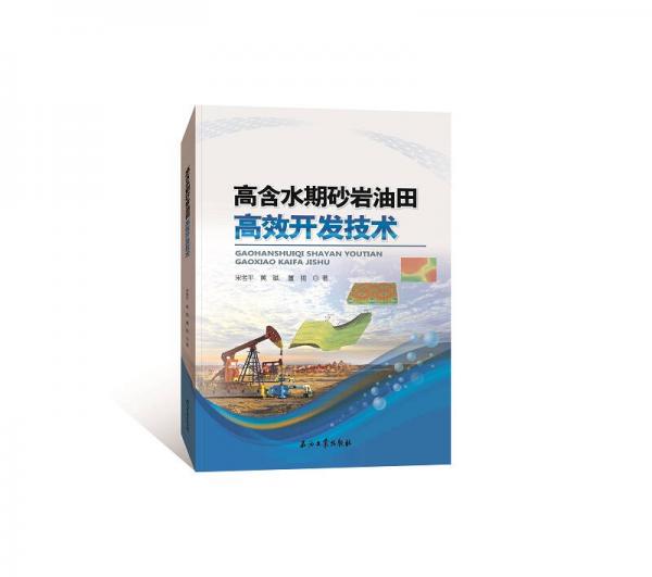 高含水期砂巖油田高效開發(fā)技術(shù)