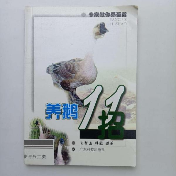 養(yǎng)鵝11招