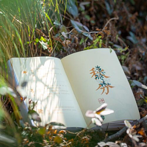 本草养年：2023年日历