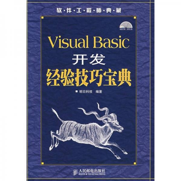 Visual Basic开发经验技巧宝典