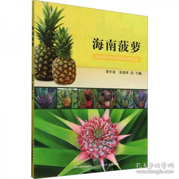 海南菠蘿