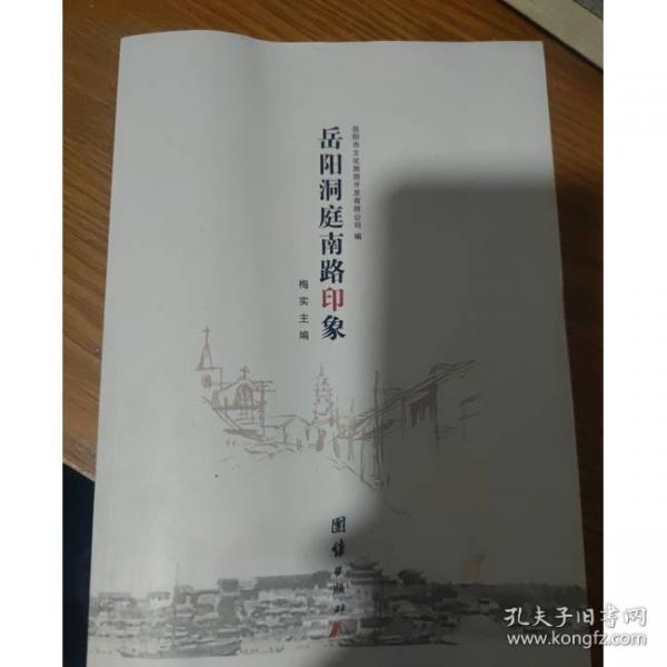 岳陽洞庭南路印象