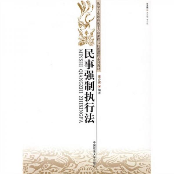 法學專業(yè)民商法學方向課程與技能課程系列教材：民事強制執(zhí)行法