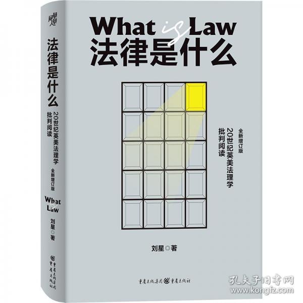 法律是什么：20世紀英美法理學批判閱讀