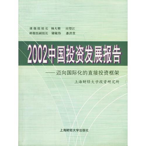 2002 中国投资发展报告迈向国际化的直接投资框架