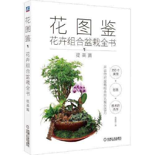 花圖鑒：花卉組合盆栽全書（提高篇）