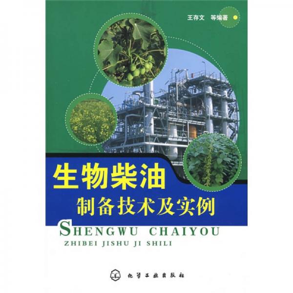 生物柴油制備技術及實例