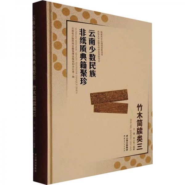 云南少數(shù)民族非紙質(zhì)典籍聚珍(竹木簡牘類3)(精)