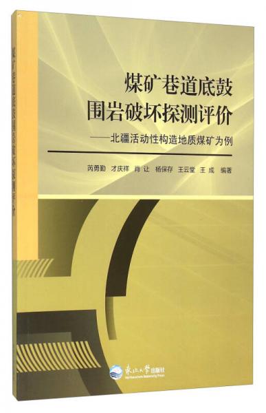 煤礦巷道底鼓圍巖破壞探測評價：北疆活動性構(gòu)造地質(zhì)煤礦為例
