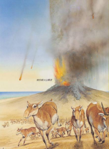 穿越时空：火山惊魂