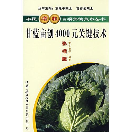 甘藍畝創(chuàng)4000元關(guān)鍵技術(shù)