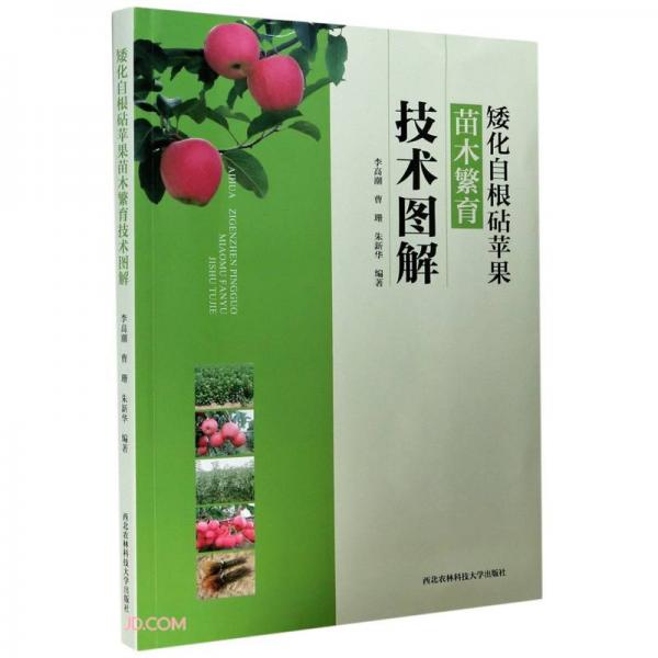 矮化自根砧蘋果苗木繁育技術(shù)圖解