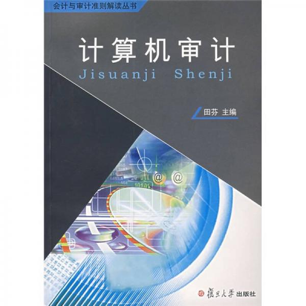 會計審計準(zhǔn)則解讀叢書：計算機(jī)審計