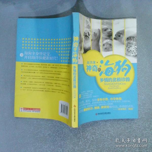 神奇的海狗:多情的北极珍兽
