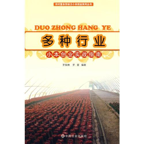 多種行業(yè)小本創(chuàng)業(yè)實(shí)戰(zhàn)指南
