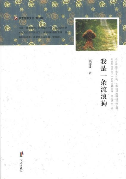 我是一條流浪狗