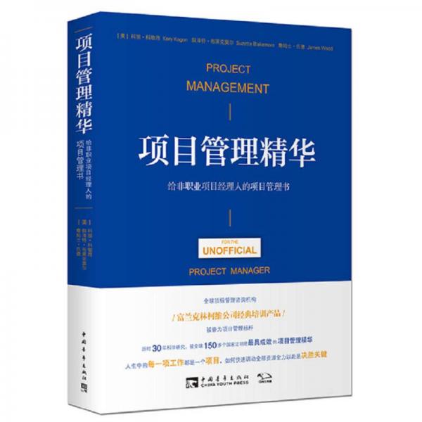 项目管理精华：给非职业项目经理人的项目管理书