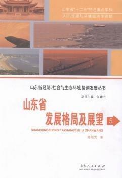 山東省發(fā)展格局及展望