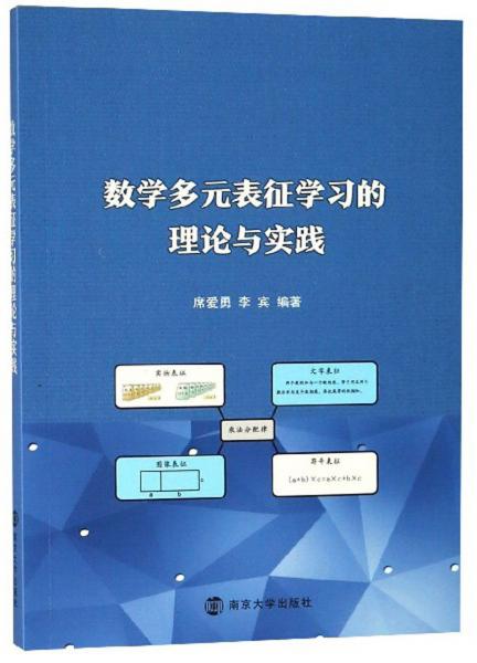 数学多元表征学习的理论与实践