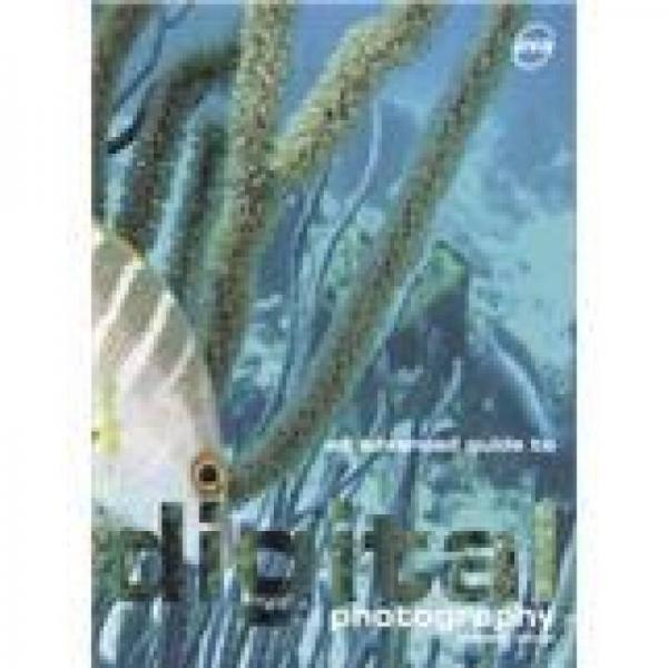 DIGITAL PHOTOGRAPHY:ADVANCED GUIDE