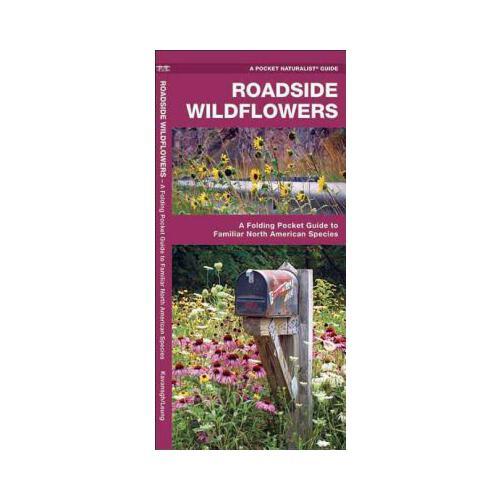Roadside Wildflowers: An Introduction to Familiar North American Species