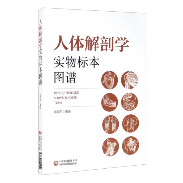 人體解剖學(xué)實物標(biāo)本圖譜