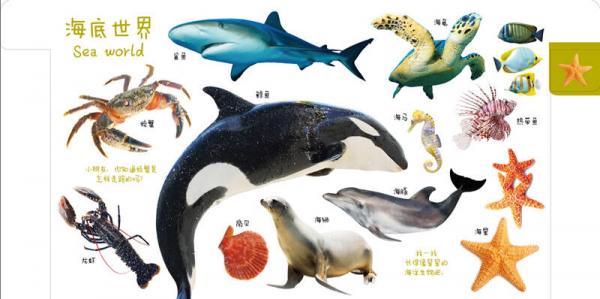 宝宝最爱的动物王国