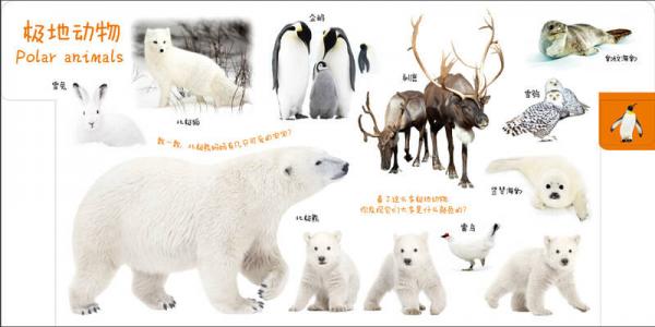 宝宝最爱的动物王国