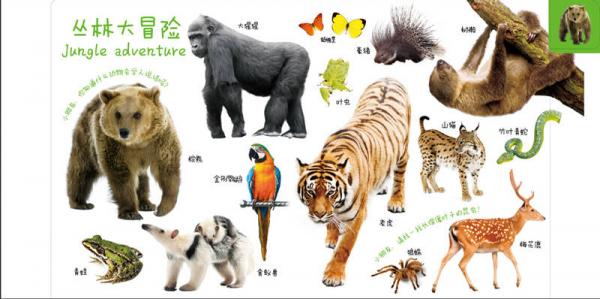 宝宝最爱的动物王国