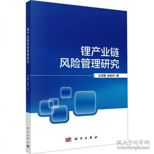 鋰產(chǎn)業(yè)鏈風險管理研究