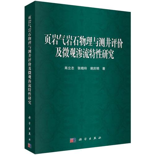 頁巖氣巖石物理與測井評價及微觀滲流特性研究