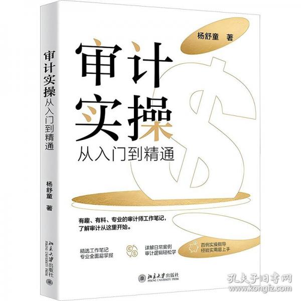 审计实操从入门到精通