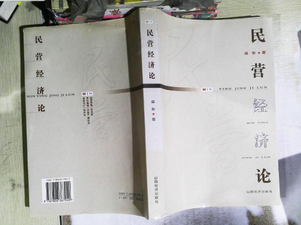 民營(yíng)經(jīng)濟(jì)論