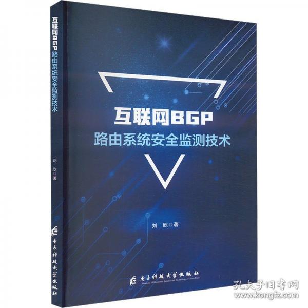 互联网BGP路由系统安全监测技术
