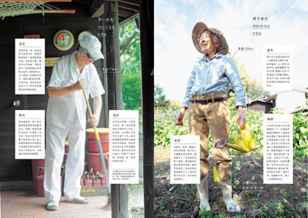 明天也是小春日和