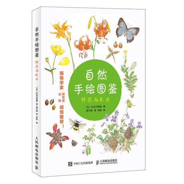 自然手繪圖鑒野花與昆蟲