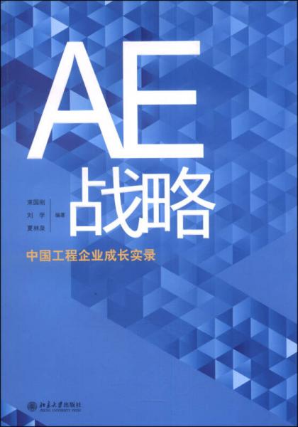 AE战略：中国工程企业成长实录