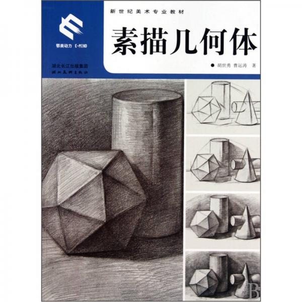 新世紀(jì)美術(shù)專業(yè)教材：素描幾何體